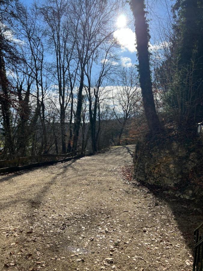 Schloss Suggenstein Sigmaringen Luaran gambar