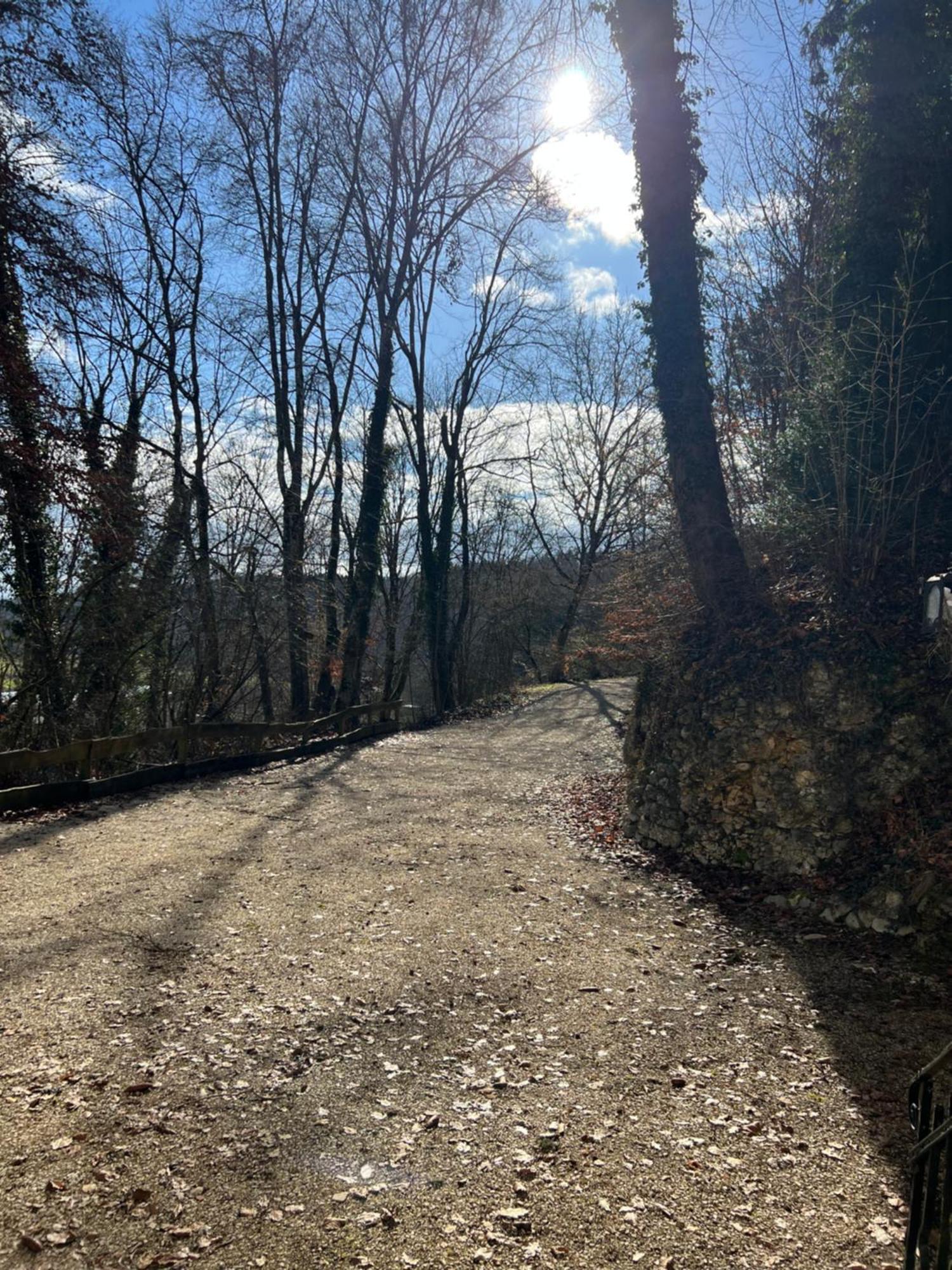 Schloss Suggenstein Sigmaringen Luaran gambar
